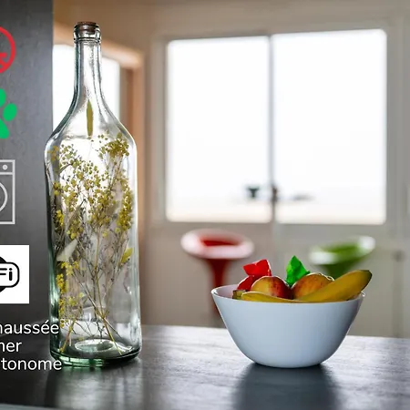 Malo-les-bains Rdc Avec Terrasse Privee En Face De La * Dunkirk